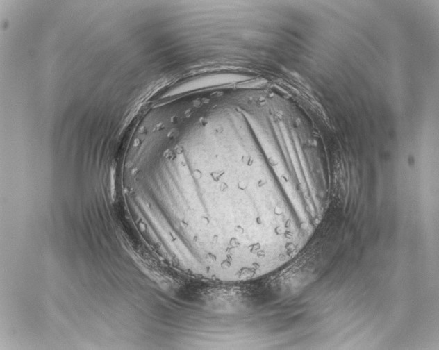 X0000059230110200511041252