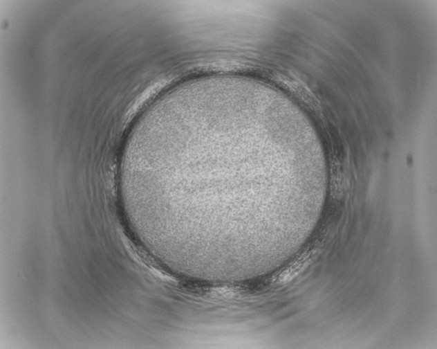 X0000059230111200511041252