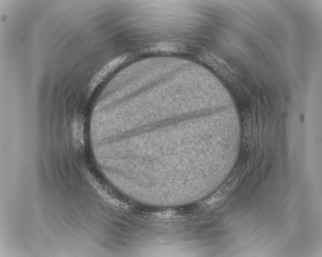 X0000059230112200511041252