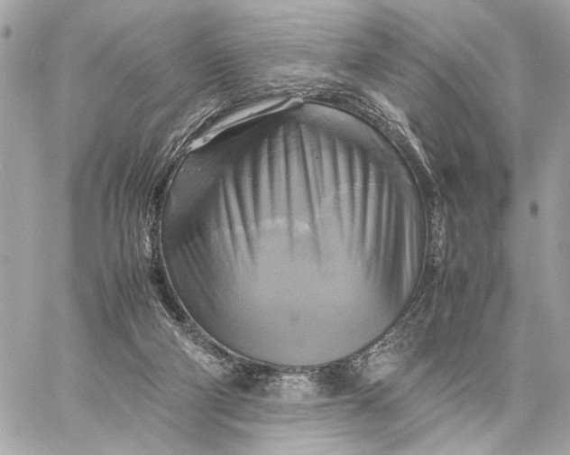 X0000059230114200511041252