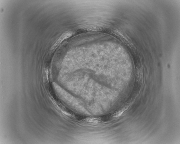 X0000059230117200511041252