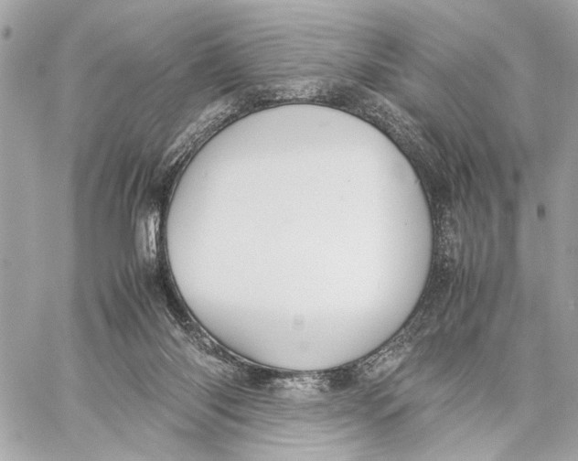 X0000059230118200511041252