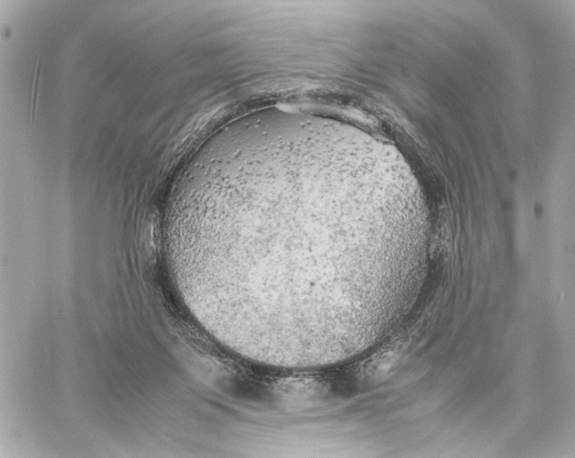 X0000059230119200511041252