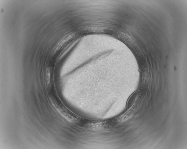 X0000059230120200511041252