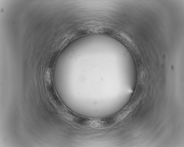 X0000059230121200511041252