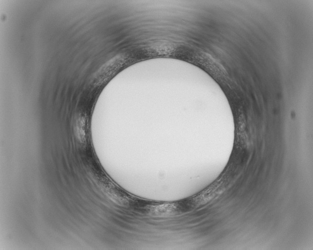 X0000059230122200511041252