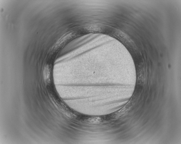 X0000059230124200511041252