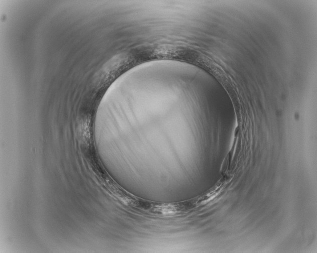 X0000059230127200511041251