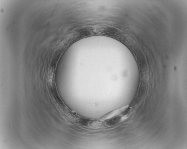 X0000059230129200511041251