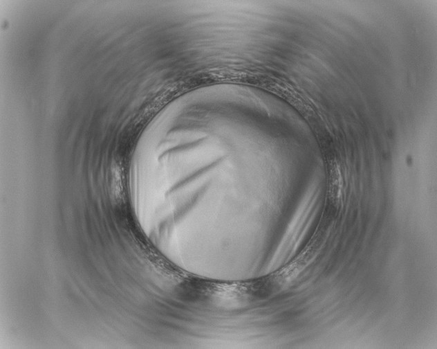 X0000059230130200511041251