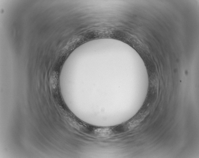 X0000059230133200511041251