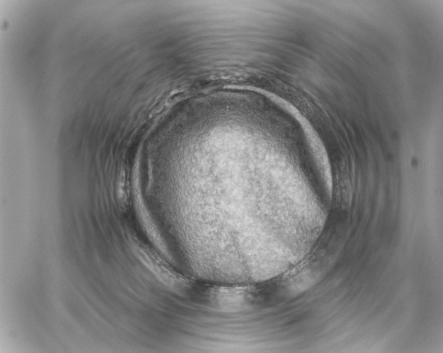 X0000059230134200511041251