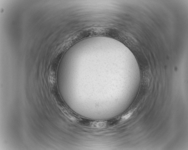 X0000059230135200511041251