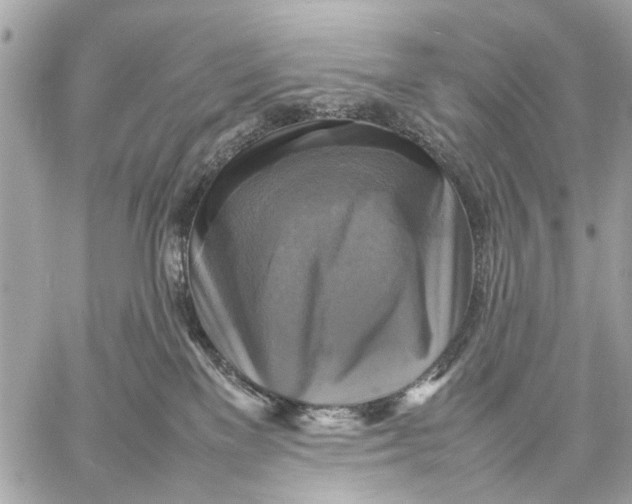 X0000059230137200511041251