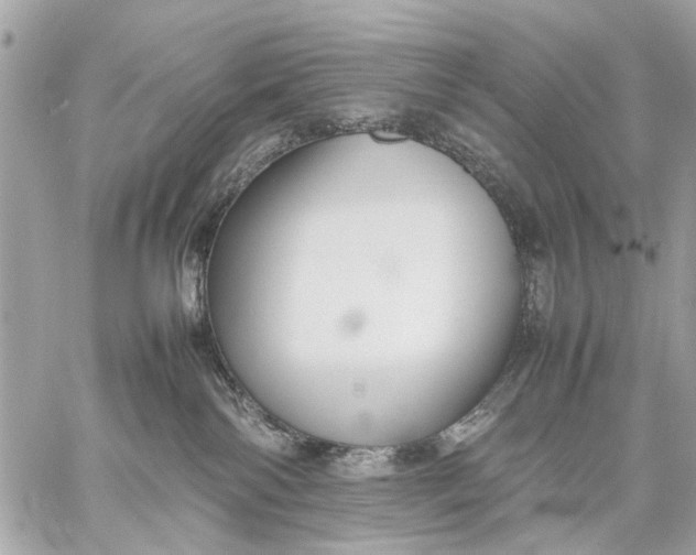 X0000059230138200511041251