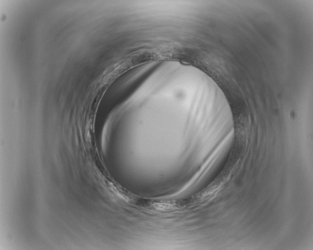 X0000059230139200511041251