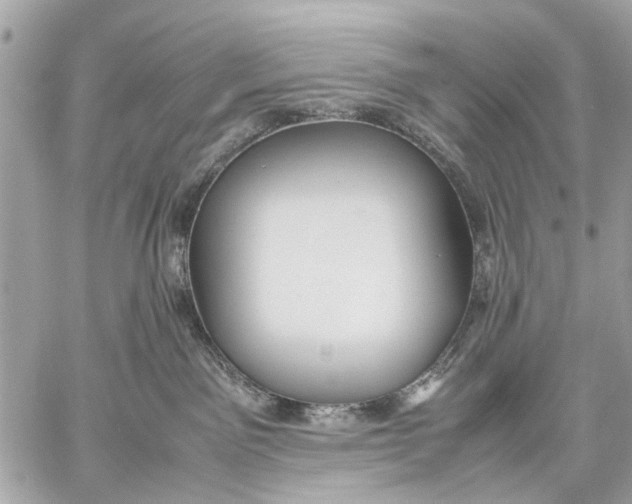 X0000059230141200511041251