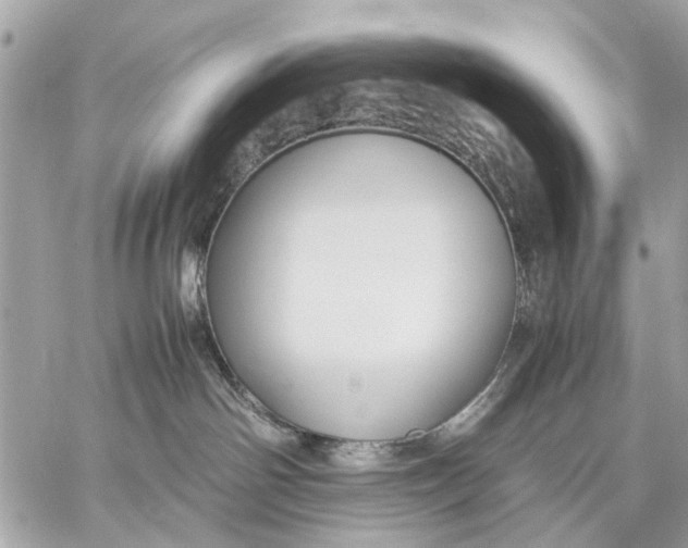 X0000059230142200511041251