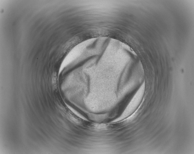 X0000059230144200511041251