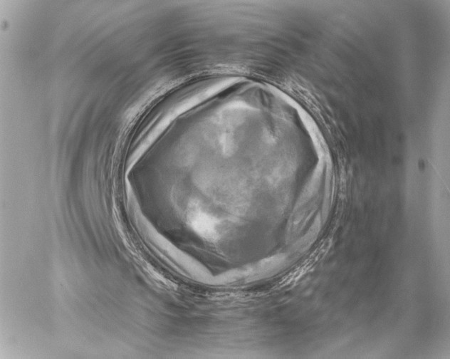 X0000059230145200511041250