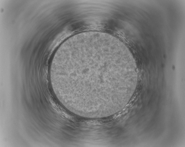 X0000059230146200511041250