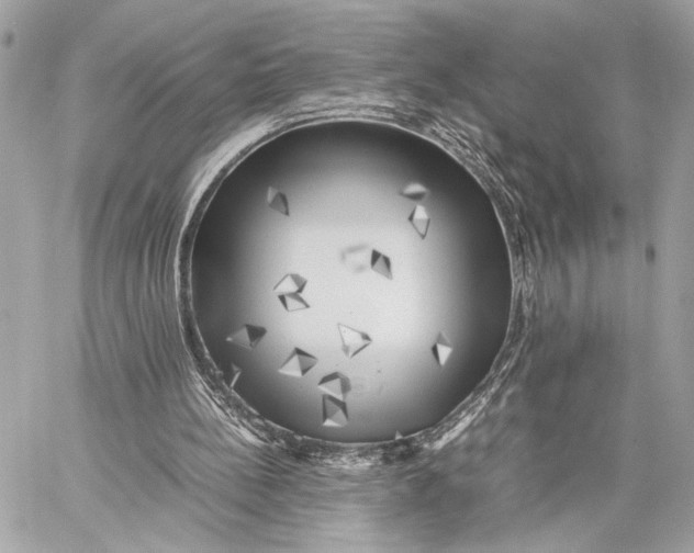 X0000059230148200511041250