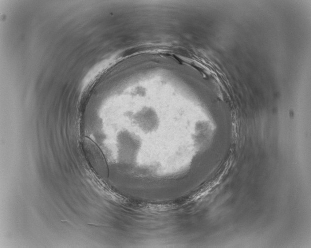 X0000059230149200511041250