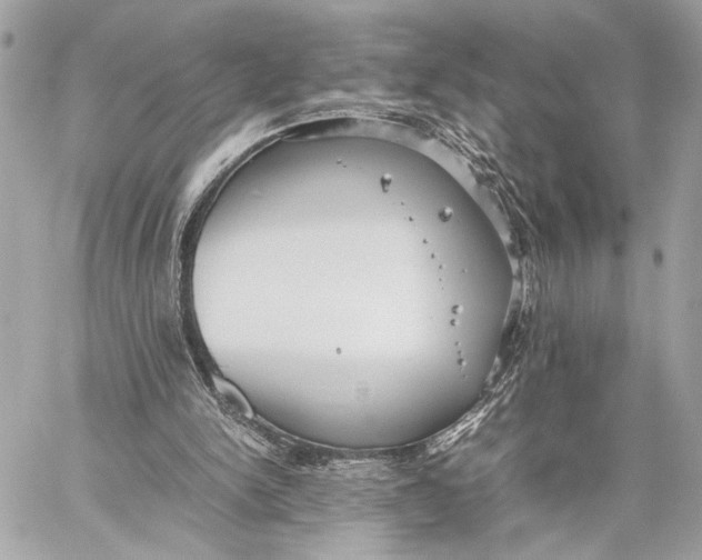 X0000059230150200511041250