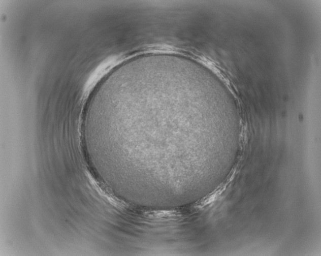 X0000059230151200511041250