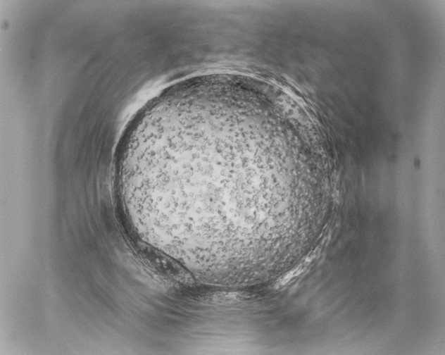 X0000059230152200511041250