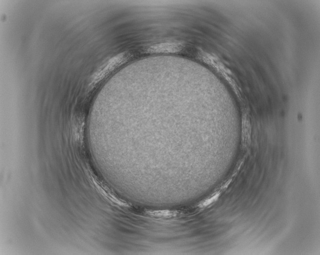 X0000059230153200511041251