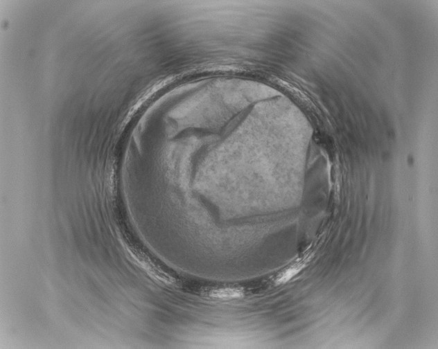 X0000059230156200511041251