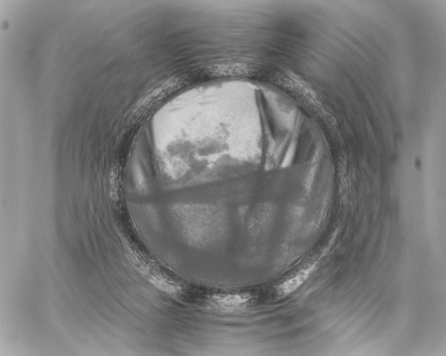 X0000059230161200511041251