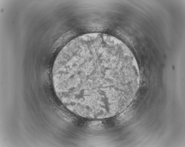 X0000059230162200511041251