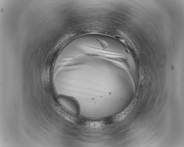 X0000059230163200511041251