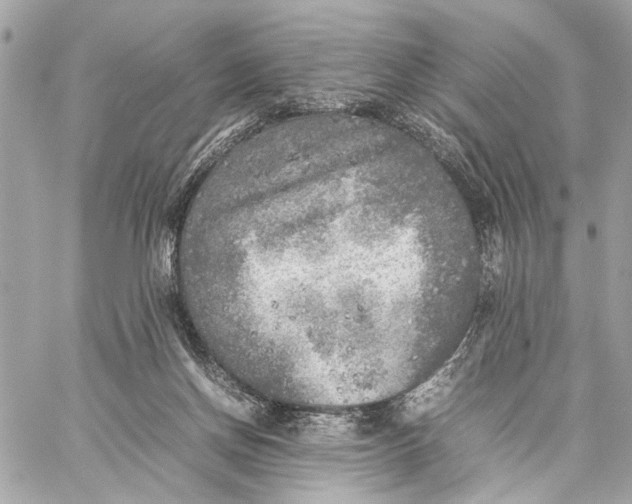 X0000059230166200511041251