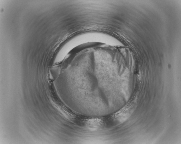 X0000059230168200511041251