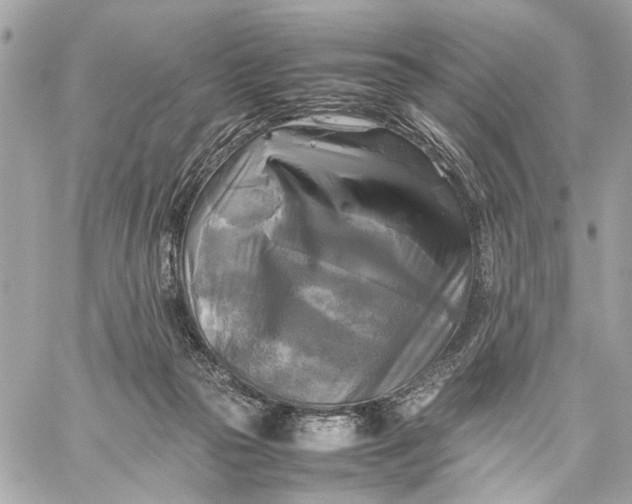 X0000059230169200511041251