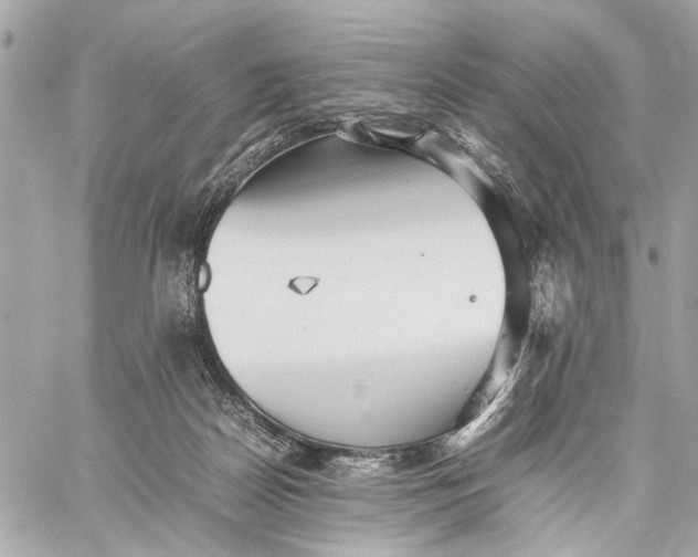 X0000059230170200511041251