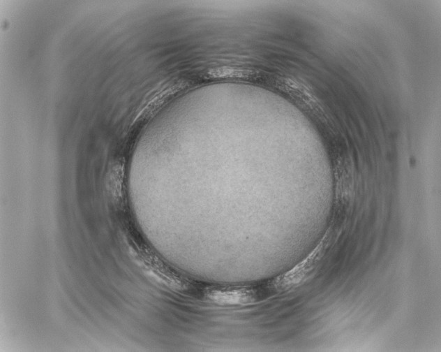 X0000059230171200511041251