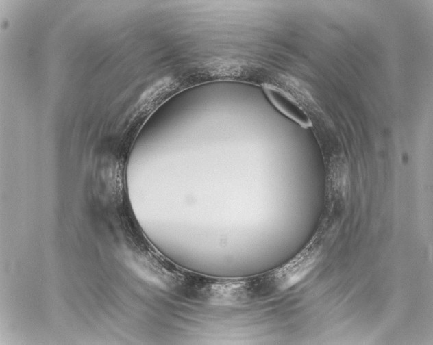 X0000059230172200511041251