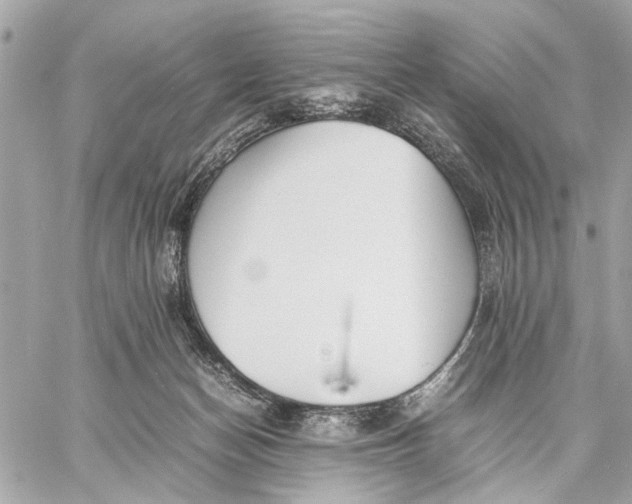 X0000059230174200511041251