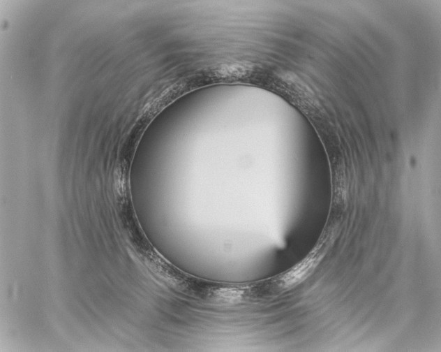 X0000059230176200511041251