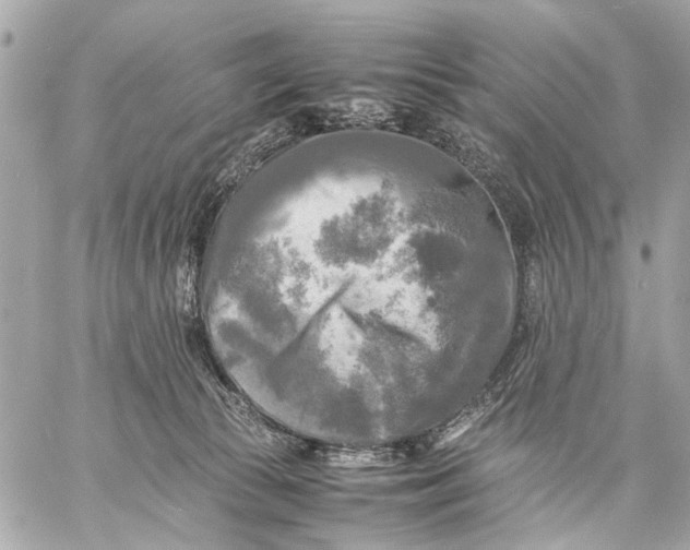 X0000059230177200511041251