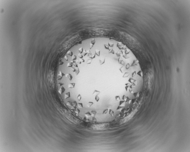 X0000059230178200511041251