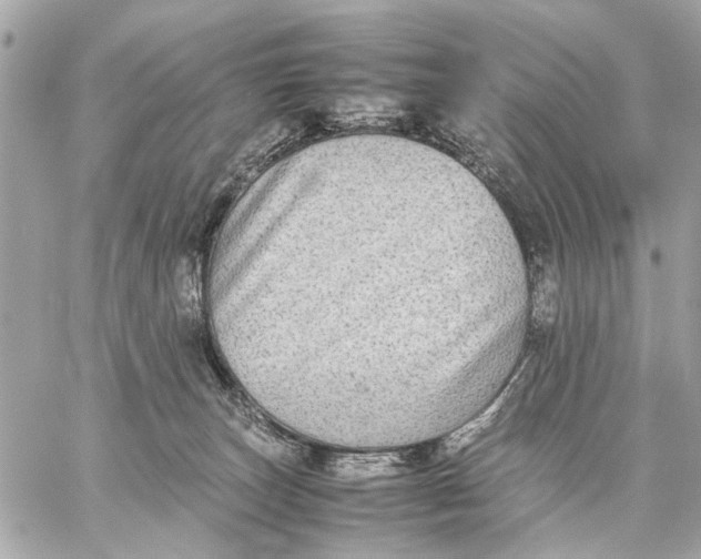 X0000059230179200511041251