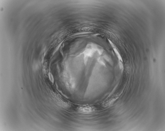 X0000059230181200511041251