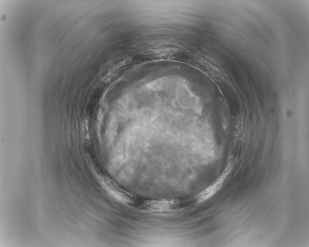 X0000059230182200511041251