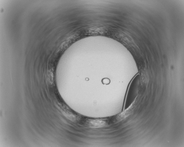 X0000059230183200511041251