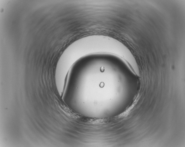 X0000059230186200511041251